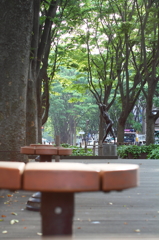 定禅寺通り