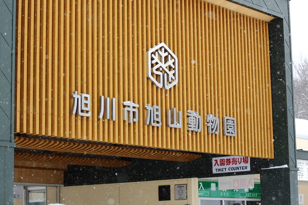 旭山動物園