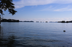 松　　島