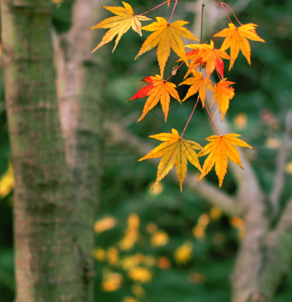 もうすぐ・・・・・