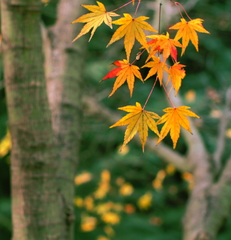 もうすぐ・・・・・