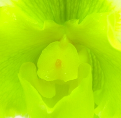 グラデーション