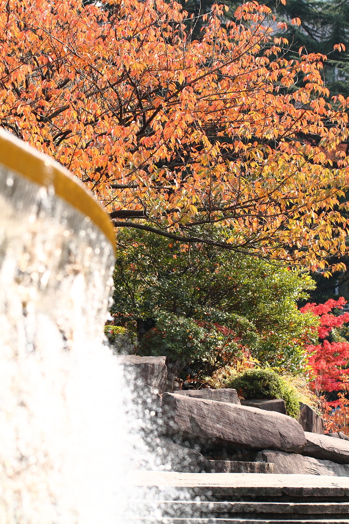水　場