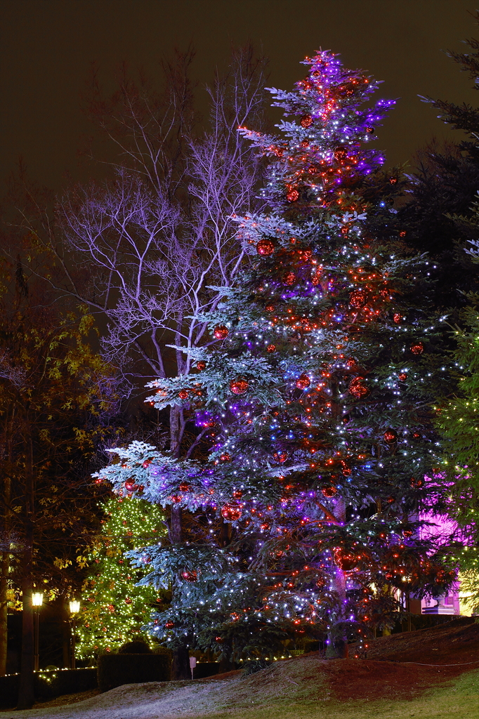 クリスマスツリー