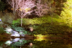 ロイヤルパークホテル