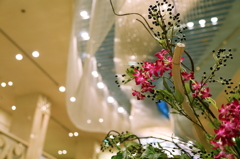 生花