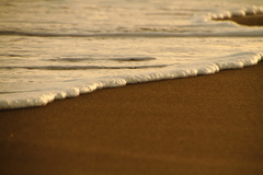 キタコレ(゜゜)