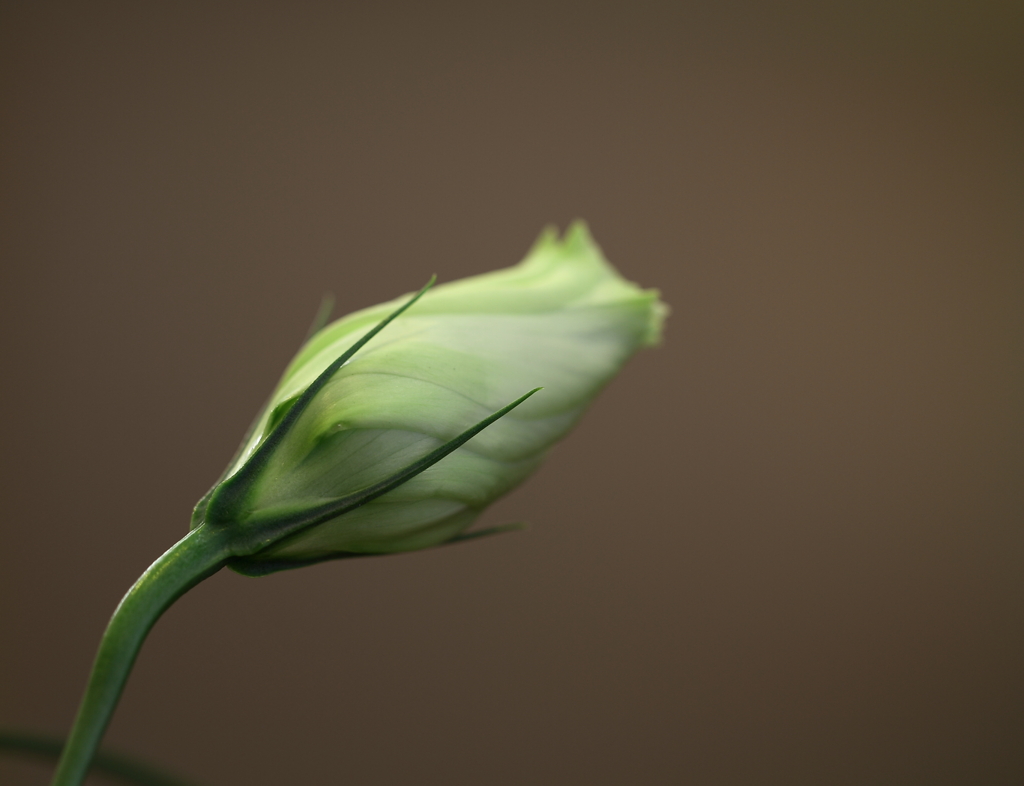 こんにちは＾＾