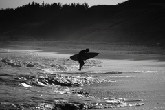 波乗りジョニー