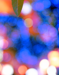 初のイルミネーション