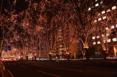 Sendai光のページェント2012