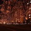 Sendai光のページェント2012