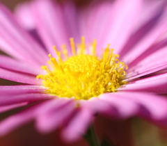 寒くても元気いっぱい♪