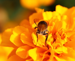 頭隠して尻隠さずｗｗ