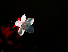 寒いけど元気いっぱい。