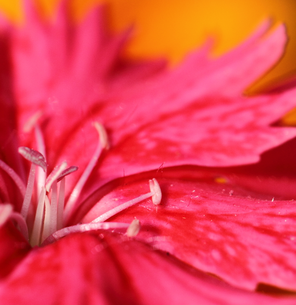 ぐったり・・・