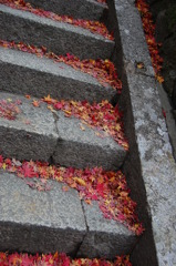紅葉の落ち葉の階段