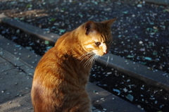 IMGP0506