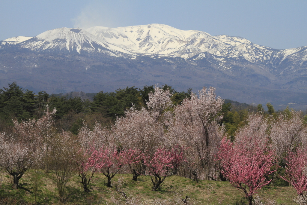 桃源郷と吾妻連峰