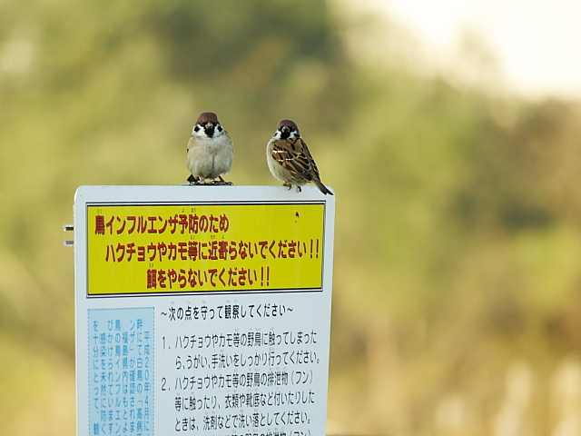 俺らは関係ないからね