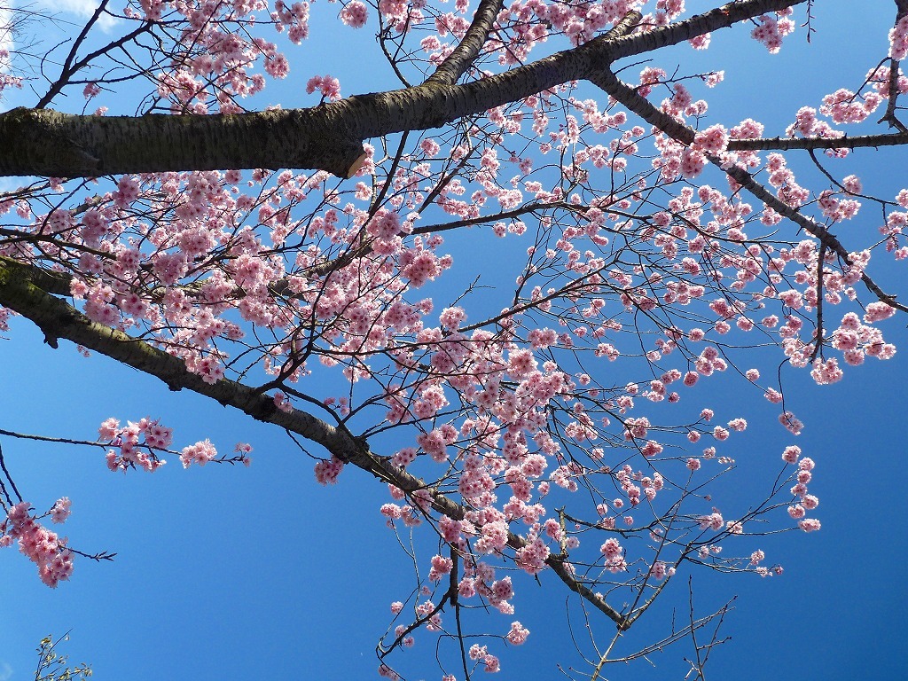 空一杯に