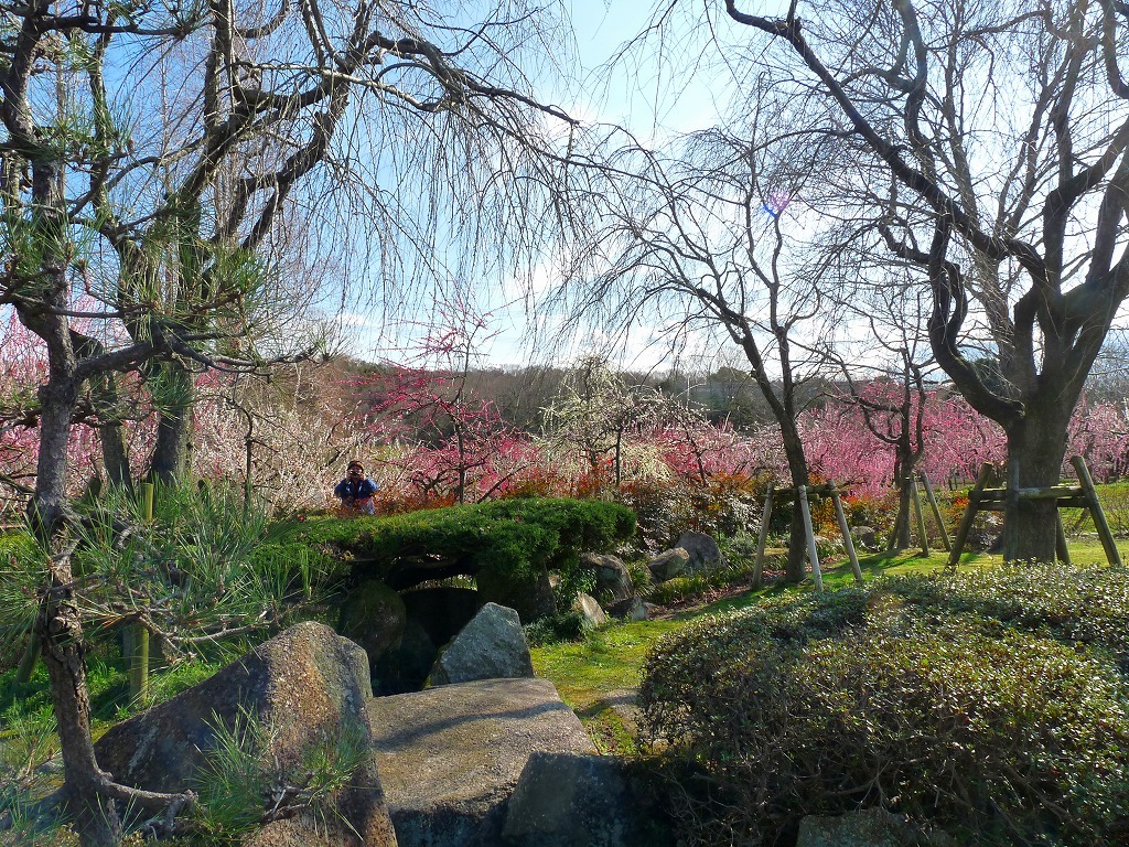 花の向こうに