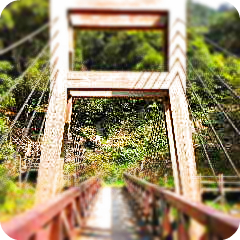 キャンプ場の橋