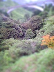 dph354-tiltshift