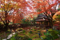 紅葉寺