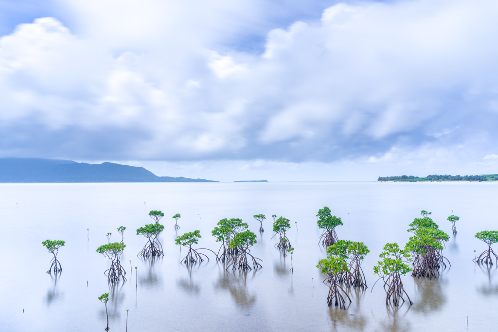 海岸からのぞむ