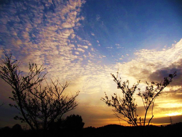 久々の夕焼け
