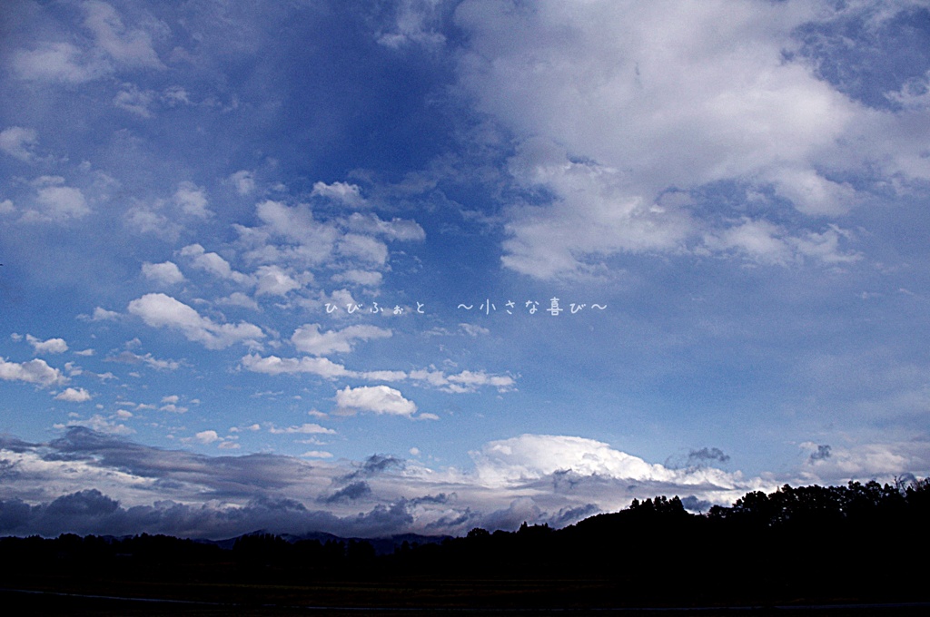 晩秋　　～ひと時の晴れ間～