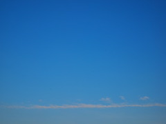 一本道