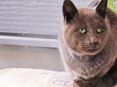 ひさしぶり・・・
