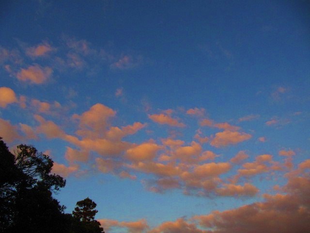夕焼け