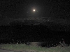 夜も・・・