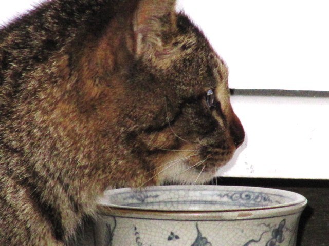 見つめる先は・・・