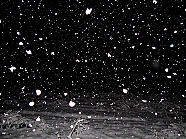 雪光