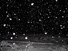 雪光