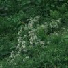 Blowin in the wind_015
