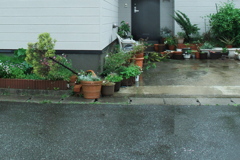 は.る.の.か.ぜ_09