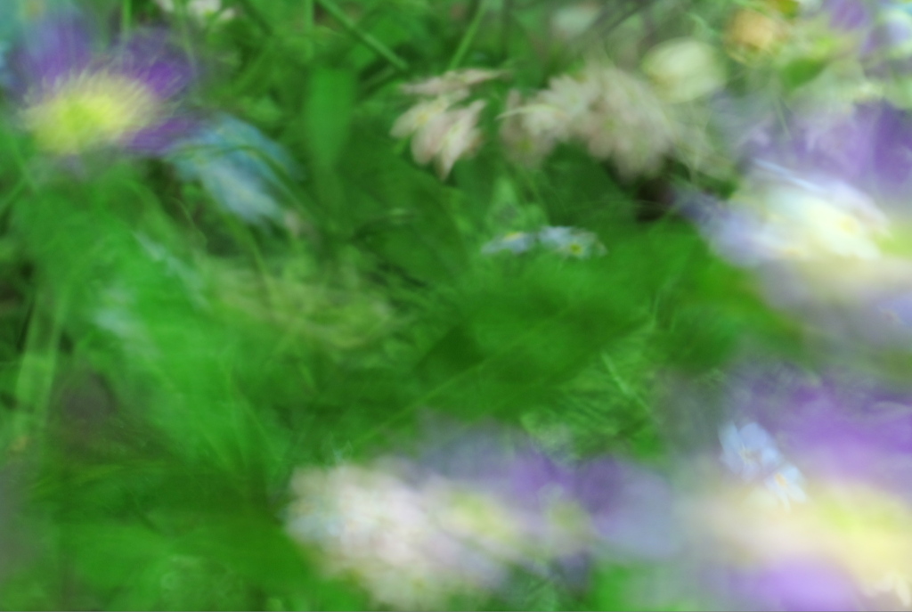 は.る.の.か.ぜ_04