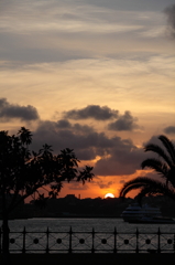 シドニー湾の夕日