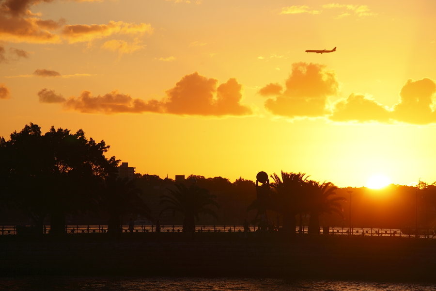 飛行機と夕日