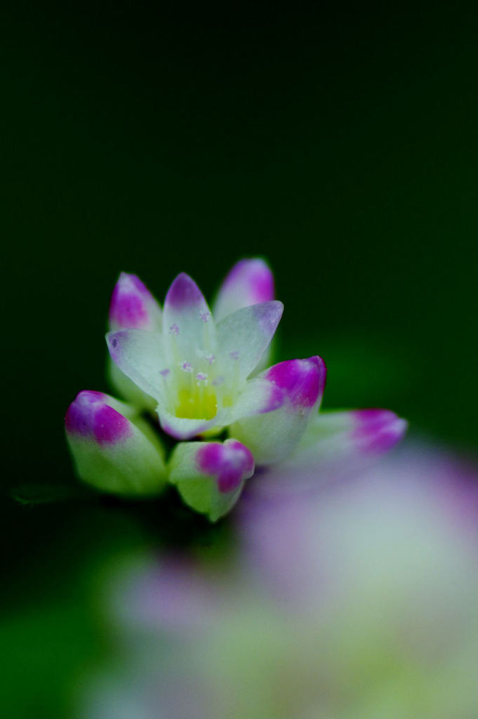 20141005_0037