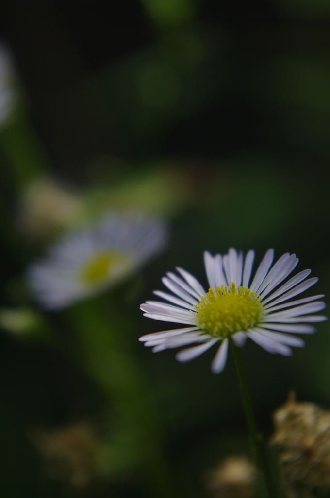 IMGP5320