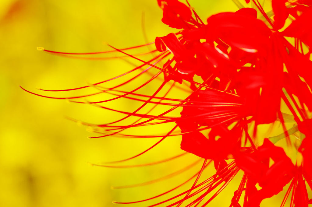 20140919_0003