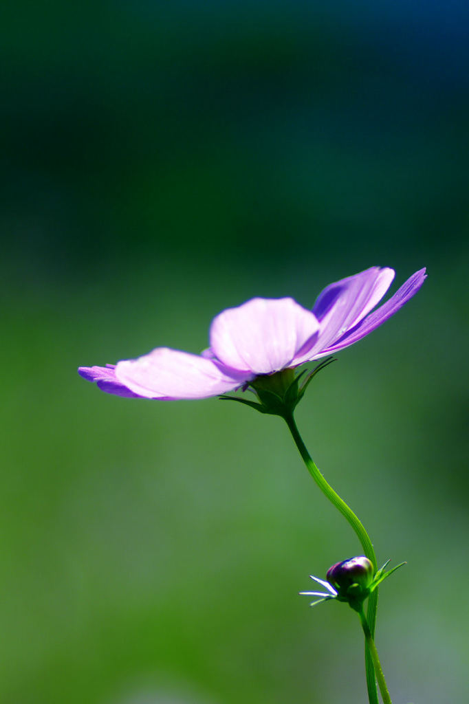 20141015_0007