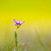 20140525_0239 2