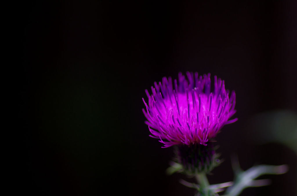 20130618_007